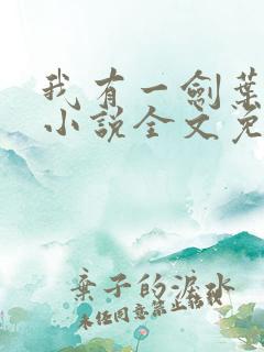 我有一剑叶观 小说全文免费阅读
