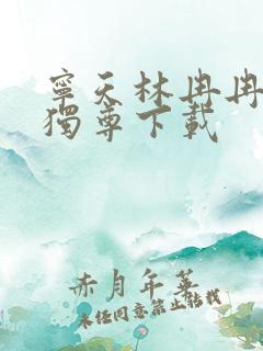 宁天林冉冉医武独尊下载