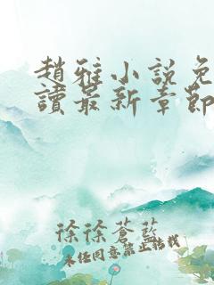 赵雅小说免费阅读最新章节