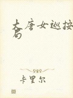 大唐女巡按大结局