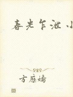 春光乍泄 小说