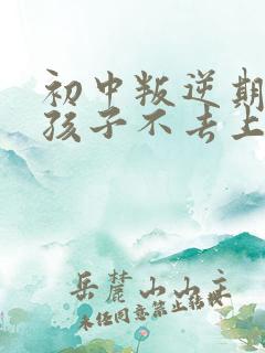 初中叛逆期的男孩子不去上学怎么去引导
