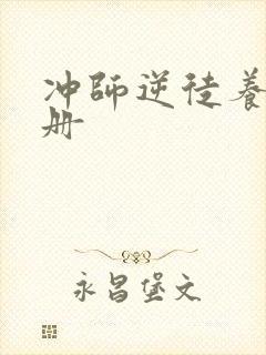 冲师逆徒养成手册