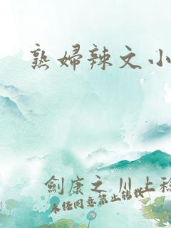 熟妇辣文小说