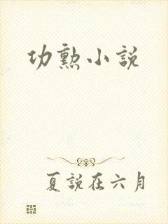 功勋小说