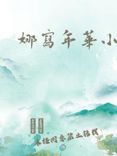 娜写年华小说