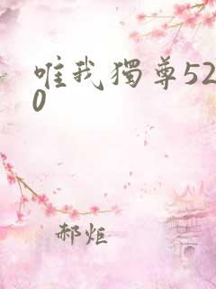 唯我独尊5200