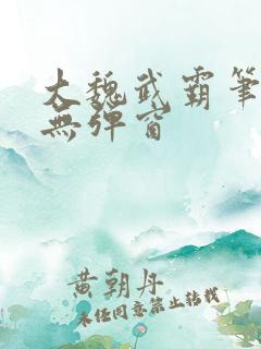 大魏武霸笔趣阁无弹窗