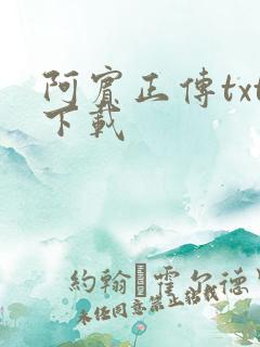 阿宾正传txt下载