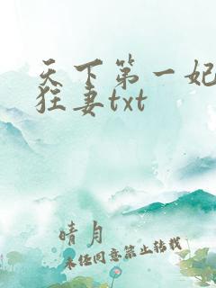 天下第一妃神医狂妻txt