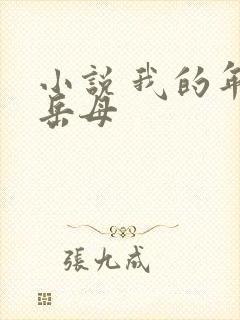 小说 我的年轻岳母