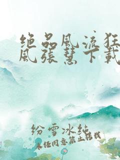 绝品风流狂医林风张慧下载
