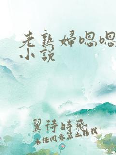 老熟妇嗯嗯啊啊小说