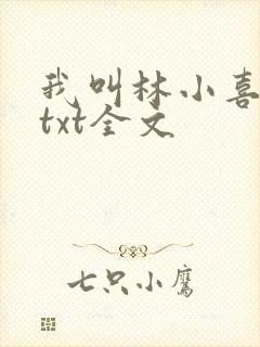 我叫林小喜乖宝txt全文