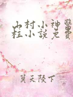 山村小神医王铁柱小说免费阅读