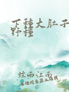 下种大肚子怀孕野种