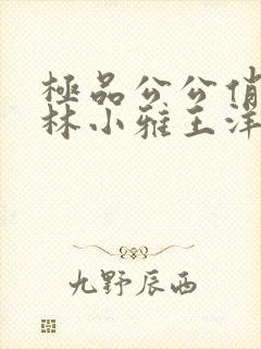 极品公公俏儿媳林小雅王洋免费阅读