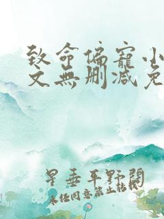 致命偏宠小说全文无删减免费阅读