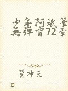 少年阿斌笔趣阁无弹窗72章