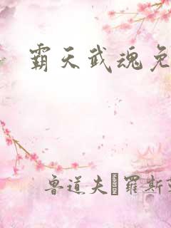 霸天武魂免费版