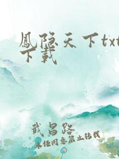 凤隐天下txt下载