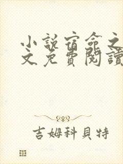 小说宿命之环全文免费阅读免费