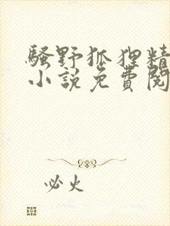 骚野狐狸精原著小说免费阅读笔趣阁
