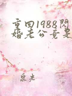 重回1988闪婚老公竟是军区大佬