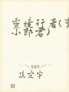 灵境行者(卖报小郎君)