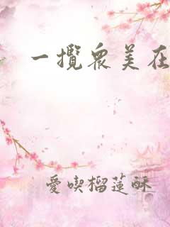 一揽众美在三国