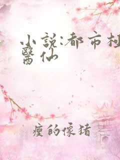 小说:都市极品医仙