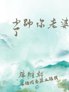 少帅你老婆又跑了