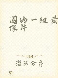 国内一级黄色录像片