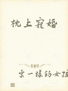 枕上宠婚