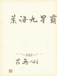 叶洛九星霸体诀