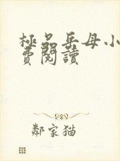极品岳母小说免费阅读