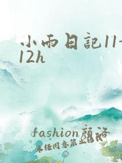小雨日记11-12h