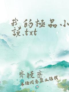我的极品小姨小说.txt