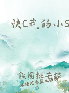 快C我的小SB