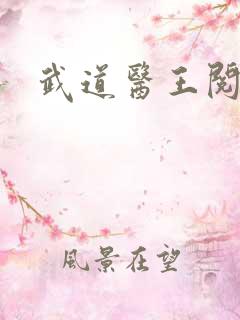 武道医王阅读