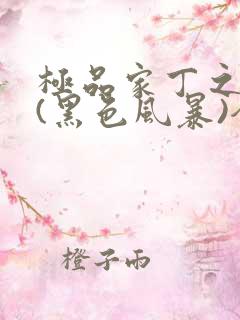 极品家丁之征服(黑色风暴)全文阅读