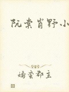阮棠肖野小说