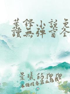 叶锋小说免费阅读无弹窗全文