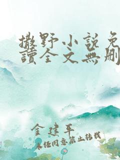 撒野小说免费阅读全文无删减