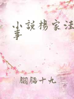 小说杨家洼的情事