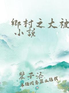 乡村之大被同眠 小说
