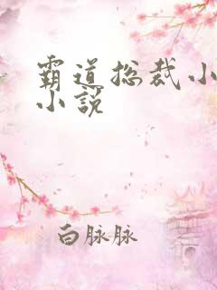 霸道总裁小娇妻小说