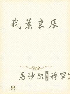 我叶良辰