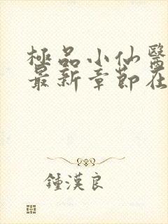极品小仙医张昊最新章节在线阅读