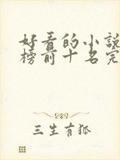 好看的小说排行榜前十名完结版